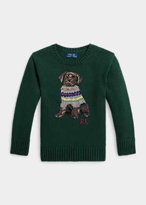 Polo Boys Dog-Intarsia Crewneck Sweater (2T-XL)